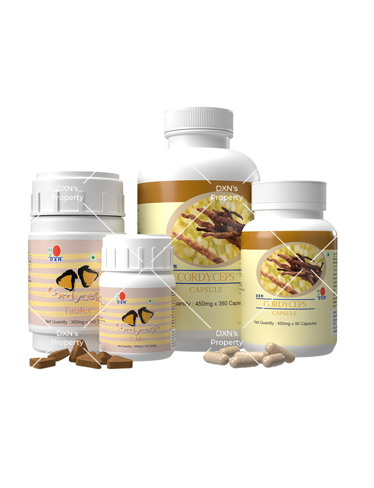 டிஎக்ஸ்என் கார்டிசெப்ஸ்